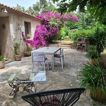 Maisonnette A La Campagne San-Gavino-di-Carbini Exterior foto